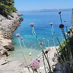 Holiday home The Captain's Nook Spiliska Blato (Korcula)