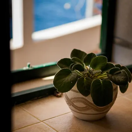 Casa vacanze The Captain's Nook Spiliska Blato (Korcula)